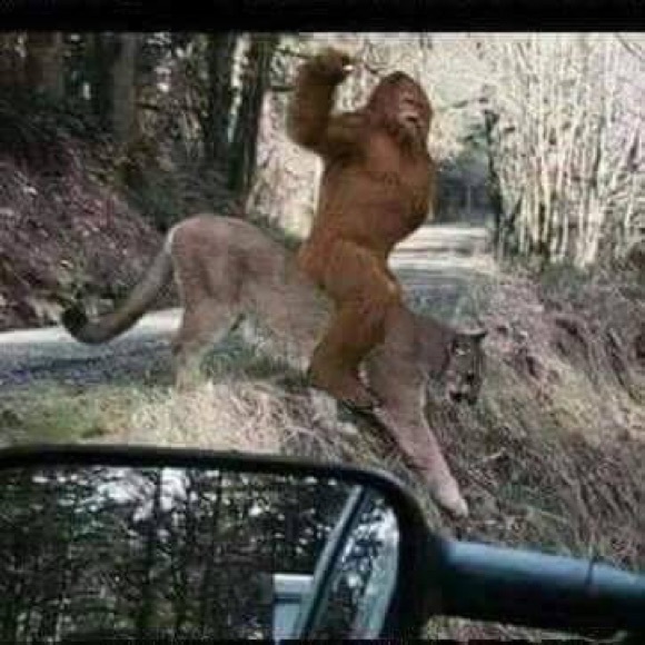 Meet your Posher, Eric - Picture 1 of 1